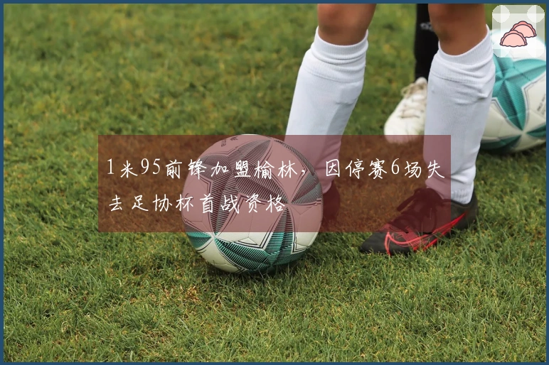 1米95前锋加盟榆林，因停赛6场失去足协杯首战资格